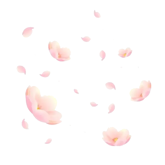 Welcome to Kawaiiquotes.Cloud